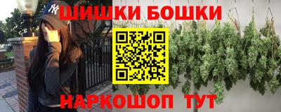 крисы Славгород