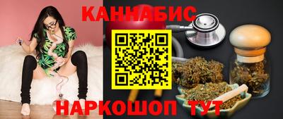 крисы Славгород