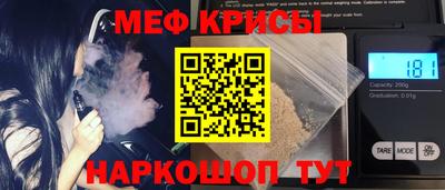 крисы Славгород